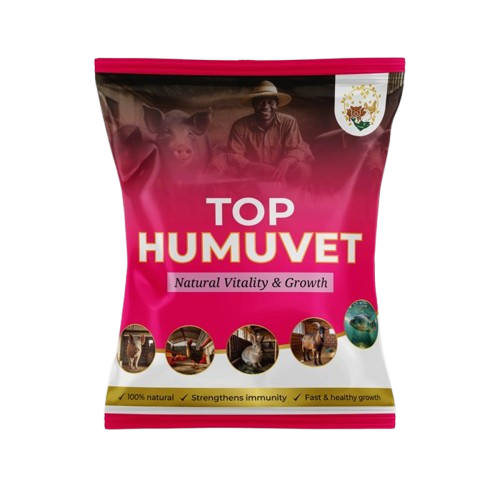 Accueil TOP HUMUVET Removebg Preview